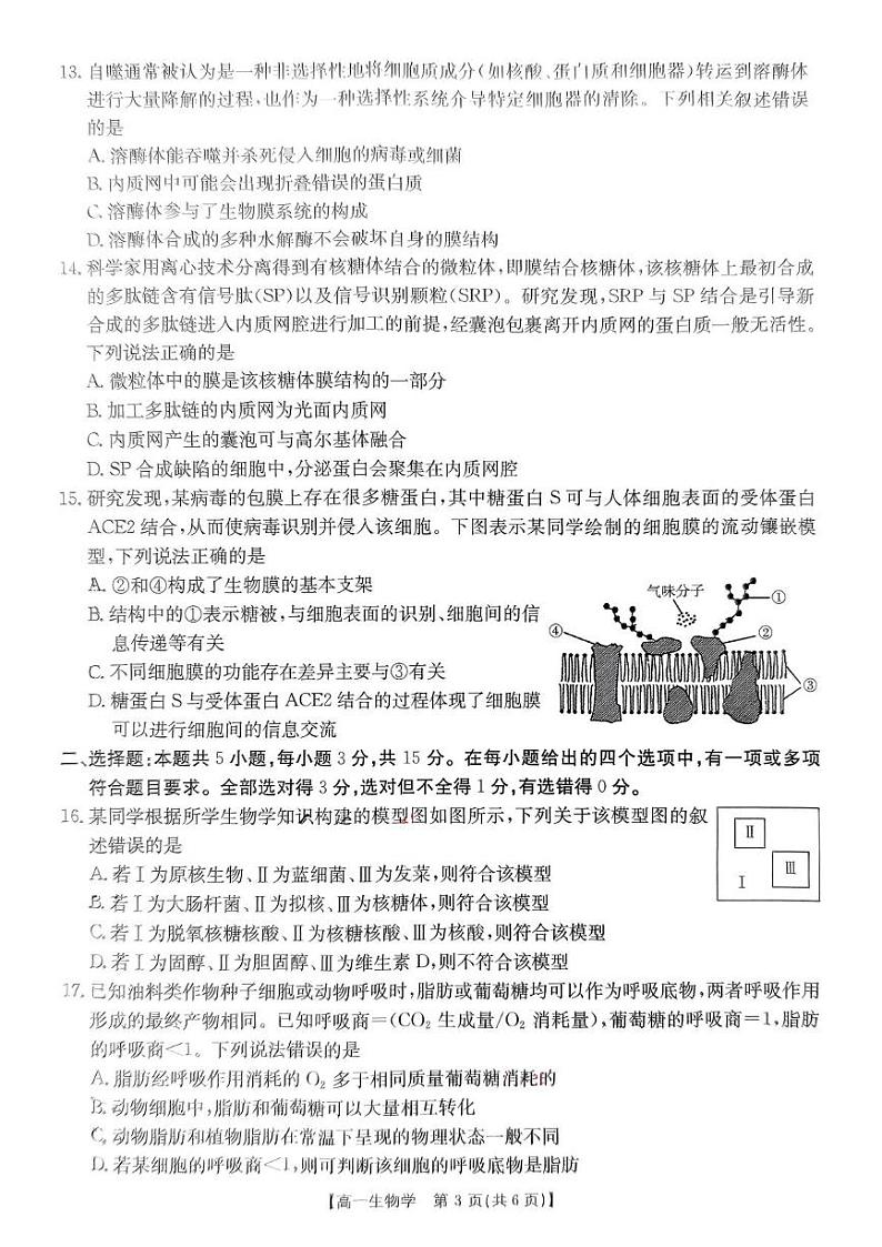 辽宁省朝阳市凌源市实验中学2024-2025学年高一上学期第三次月考生物试题第3页