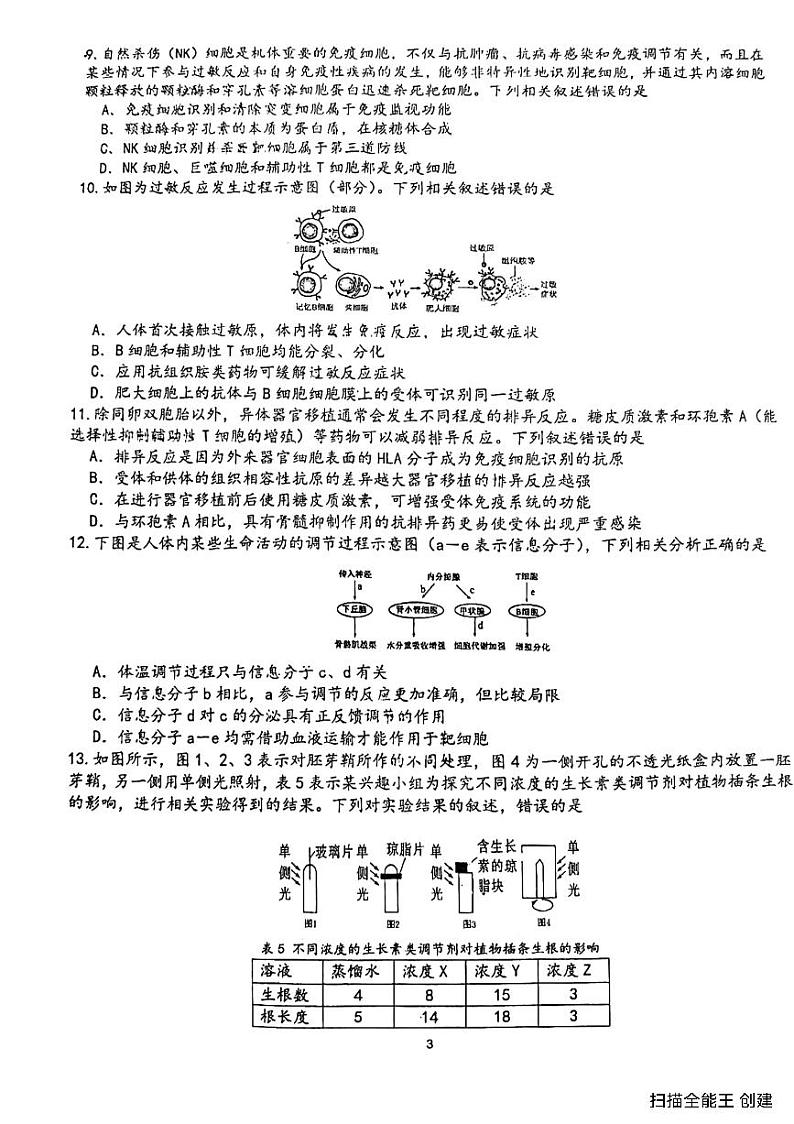 四川省成都市锦江区成都市盐道街中学2024-2025学年高二上学期期中考试生物试卷第3页