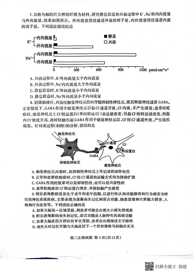 山东省泰安市2024-2025学年高二上学期11月期中生物试题第3页