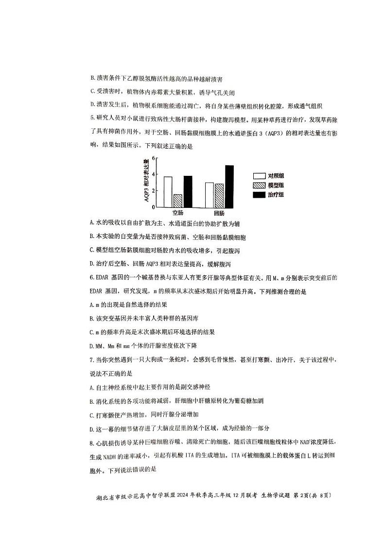 湖北省市级示范高中智学联盟2024-2025学年高三上学期12月月考生物试卷（PDF版附解析）第2页