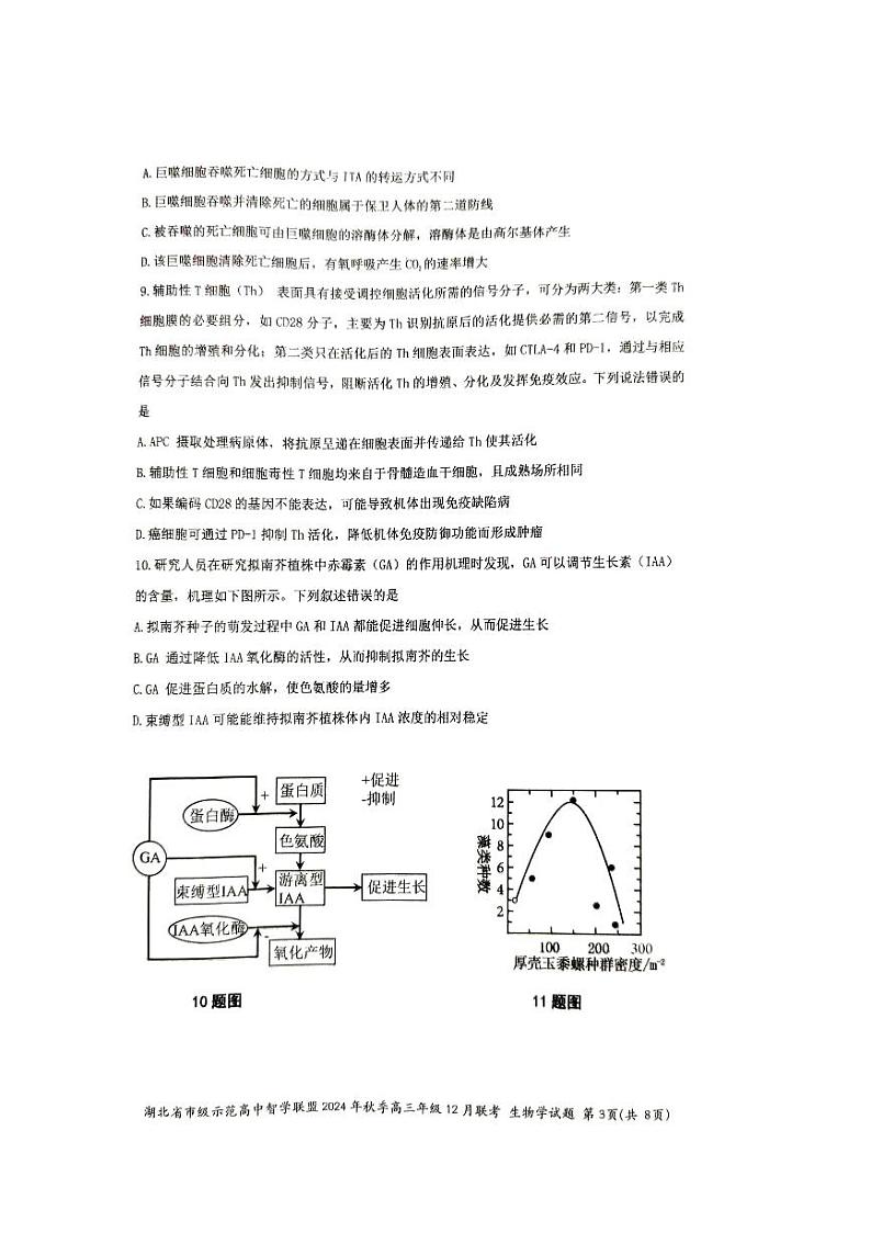 湖北省市级示范高中智学联盟2024-2025学年高三上学期12月月考生物试卷（PDF版附解析）第3页