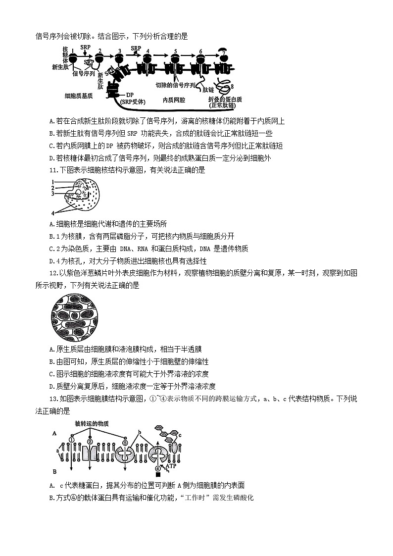 辽宁省普通高中2024-2025学年高一上学期12月月考生物试卷（Word版附解析）第3页