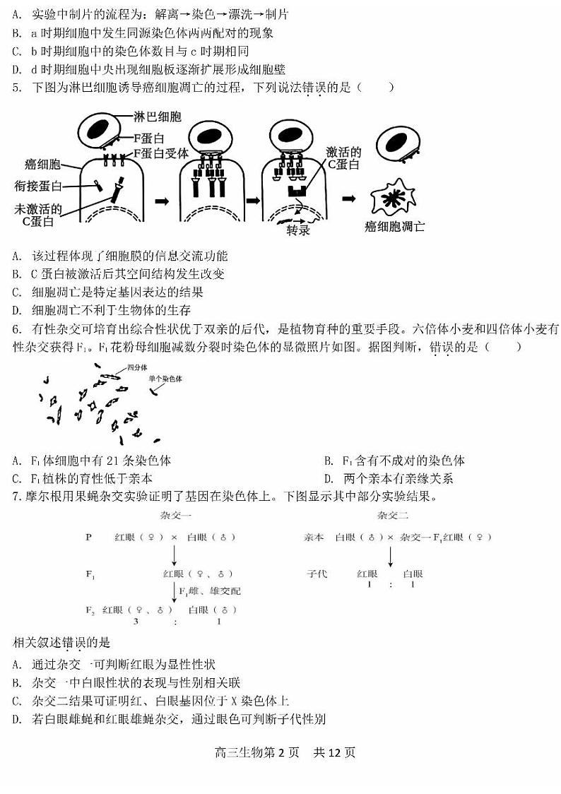 2024北京五十五中高三(上)12月月考生物(有答案)第2页