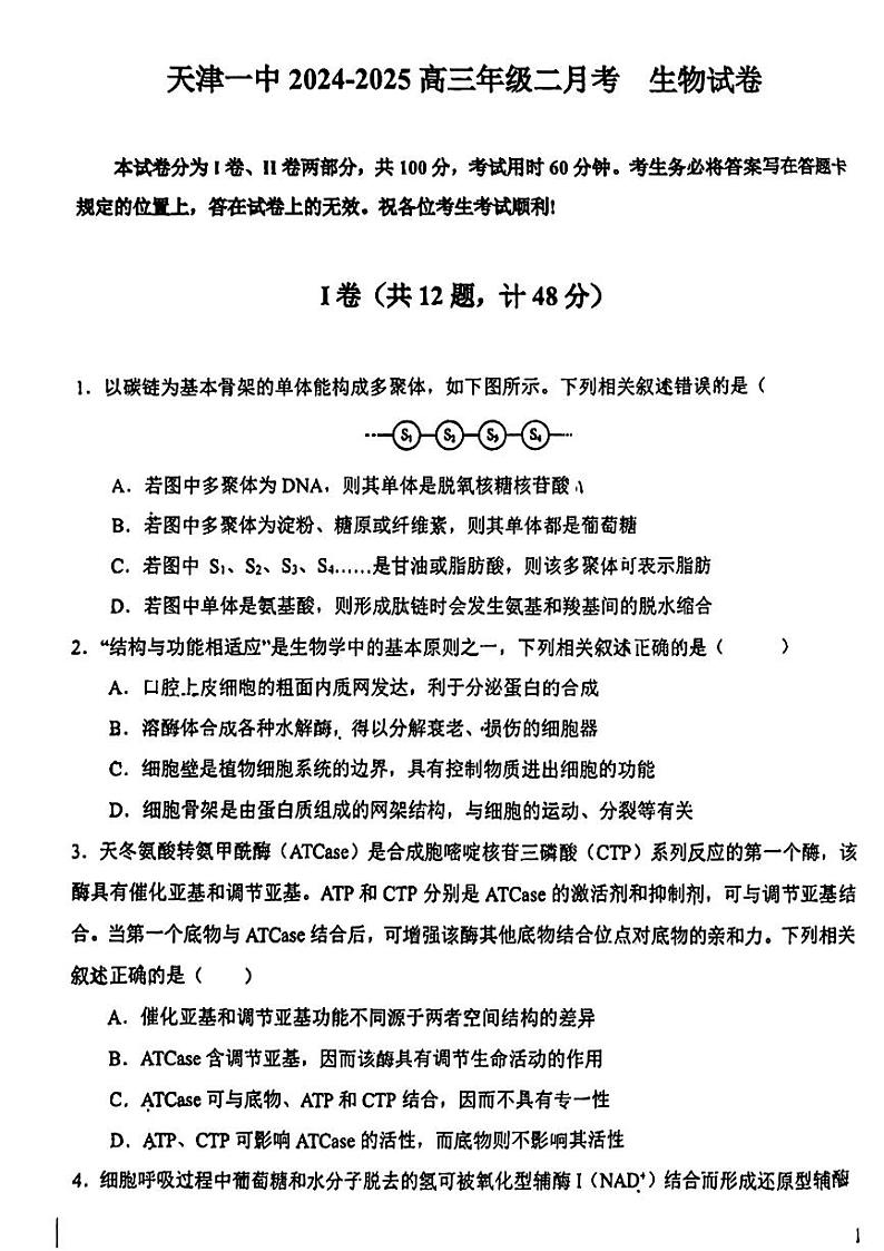 天津市第一中学2024-2025学年高三上学期第二次月考生物第1页