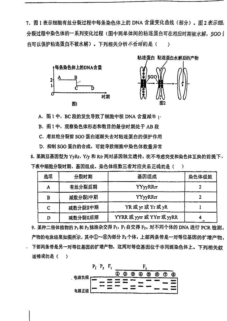 天津市第一中学2024-2025学年高三上学期第二次月考生物第3页