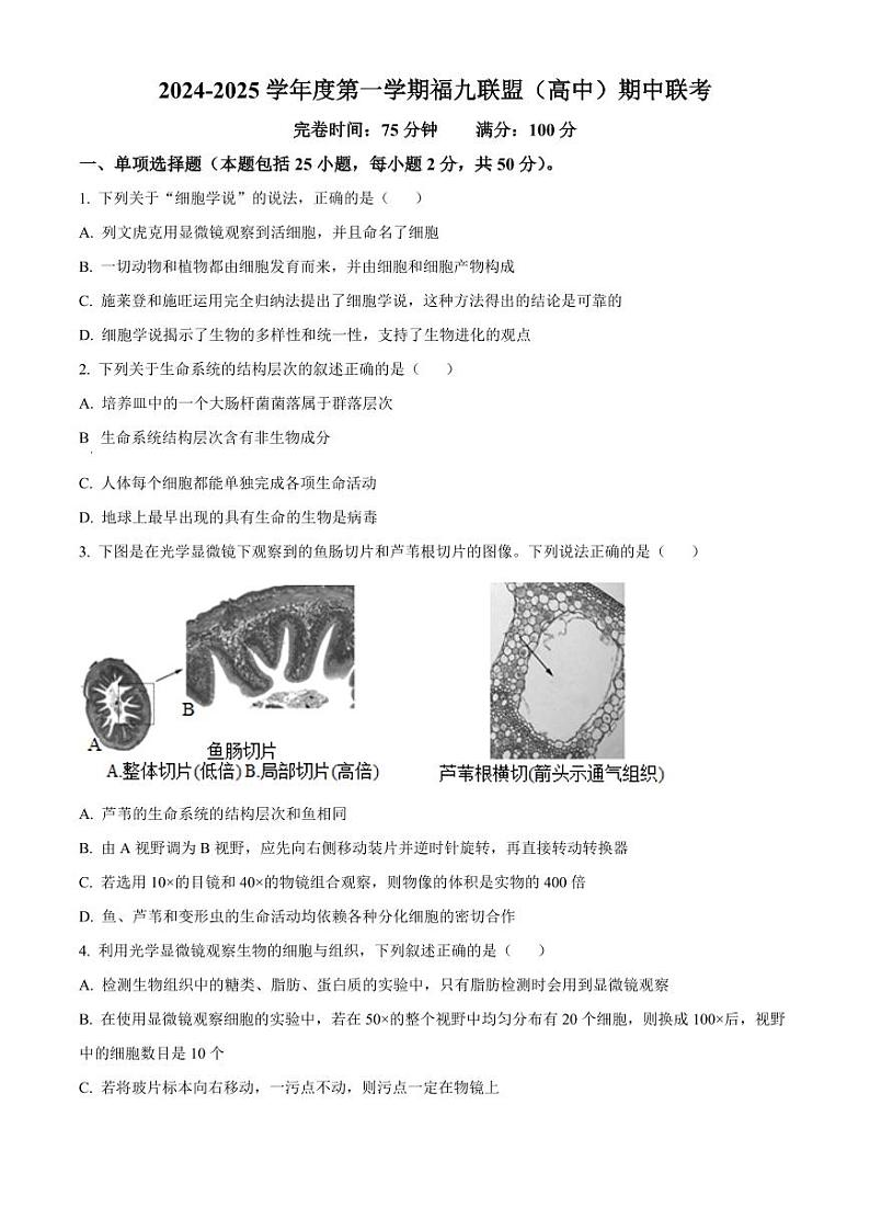 福建省福州市福9联盟校2024-2025学年高一上学期11月期中生物试题  Word版无答案第1页