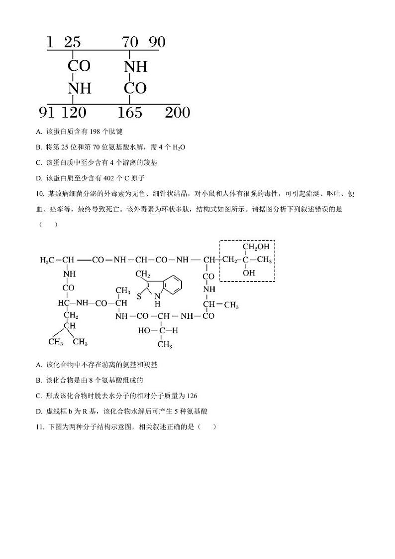 福建省福州市福9联盟校2024-2025学年高一上学期11月期中生物试题  Word版无答案第3页