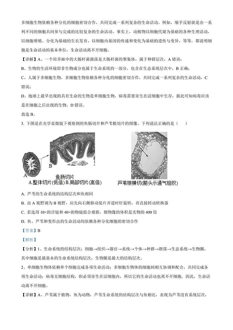 福建省福州市福9联盟校2024-2025学年高一上学期11月期中生物试题  Word版含解析第2页