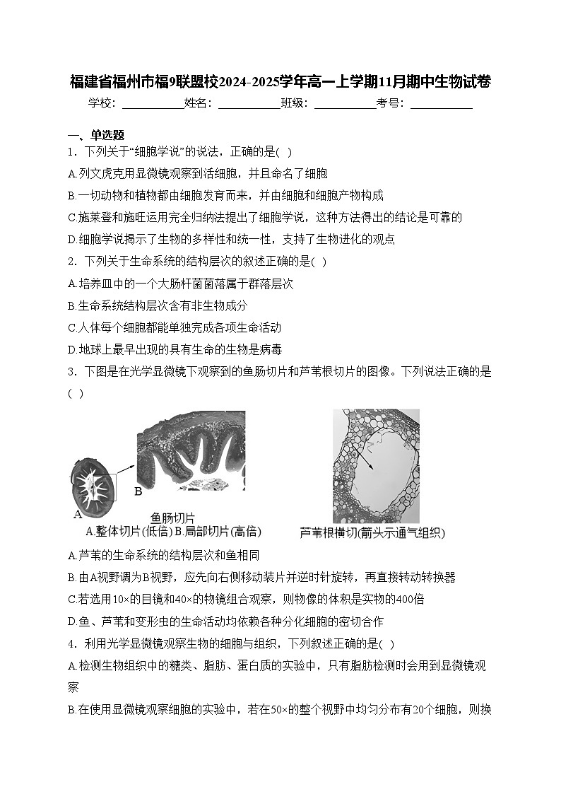 福建省福州市福9联盟校2024-2025学年高一上学期11月期中生物试卷(含答案)第1页
