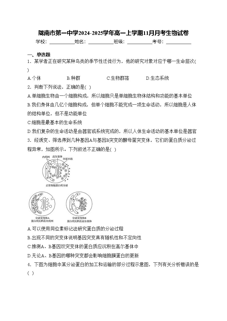 陇南市第一中学2024-2025学年高一上学期11月月考生物试卷(含答案)第1页