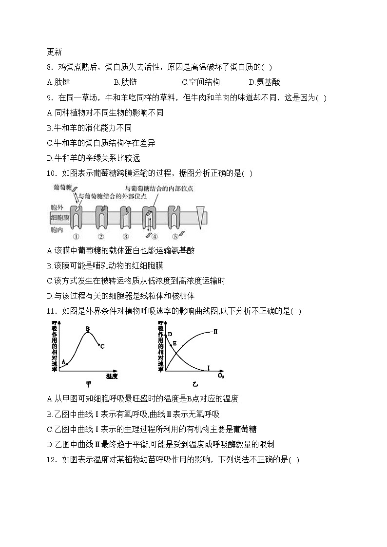 陇南市第一中学2024-2025学年高一上学期11月月考生物试卷(含答案)第3页