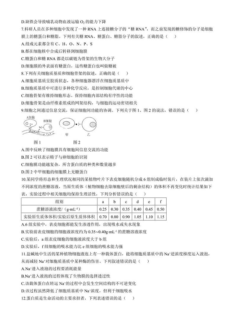 河南省周口市鹿邑县2024-2025学年高一上学期11月期中考试 生物 Word版含答案第2页
