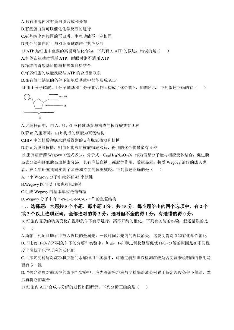 河南省周口市鹿邑县2024-2025学年高一上学期11月期中考试 生物 Word版含答案第3页