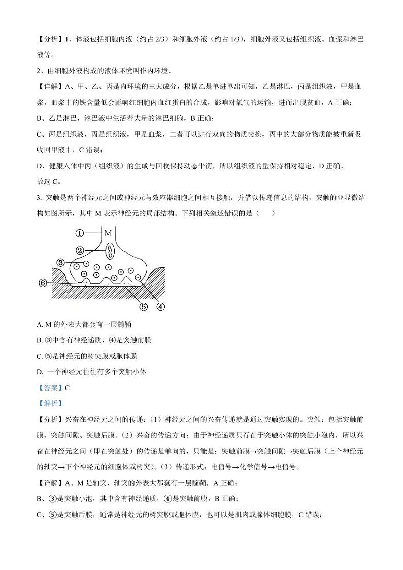 贵州省黔东南苗族侗族自治州2024-2025学年高二上学期11月期中考试生物试题  Word版含解析第2页
