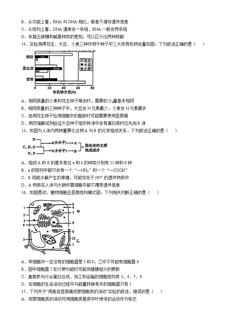 青海省大通县第二中学2024-2025学年高一上学期期中考试生物试题第3页