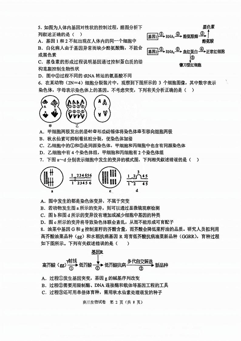 天津市第一百中学2024-2025学年高三上学期第二次月考生物试题第2页