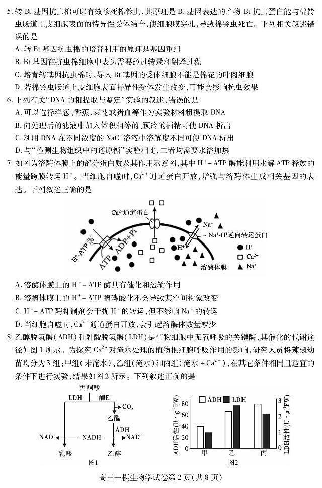 四川省内江市高中2024-2025学年高三上学期第一次模拟（12月）生物试题第2页