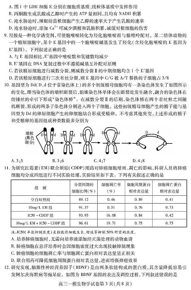 四川省内江市高中2024-2025学年高三上学期第一次模拟（12月）生物试题第3页