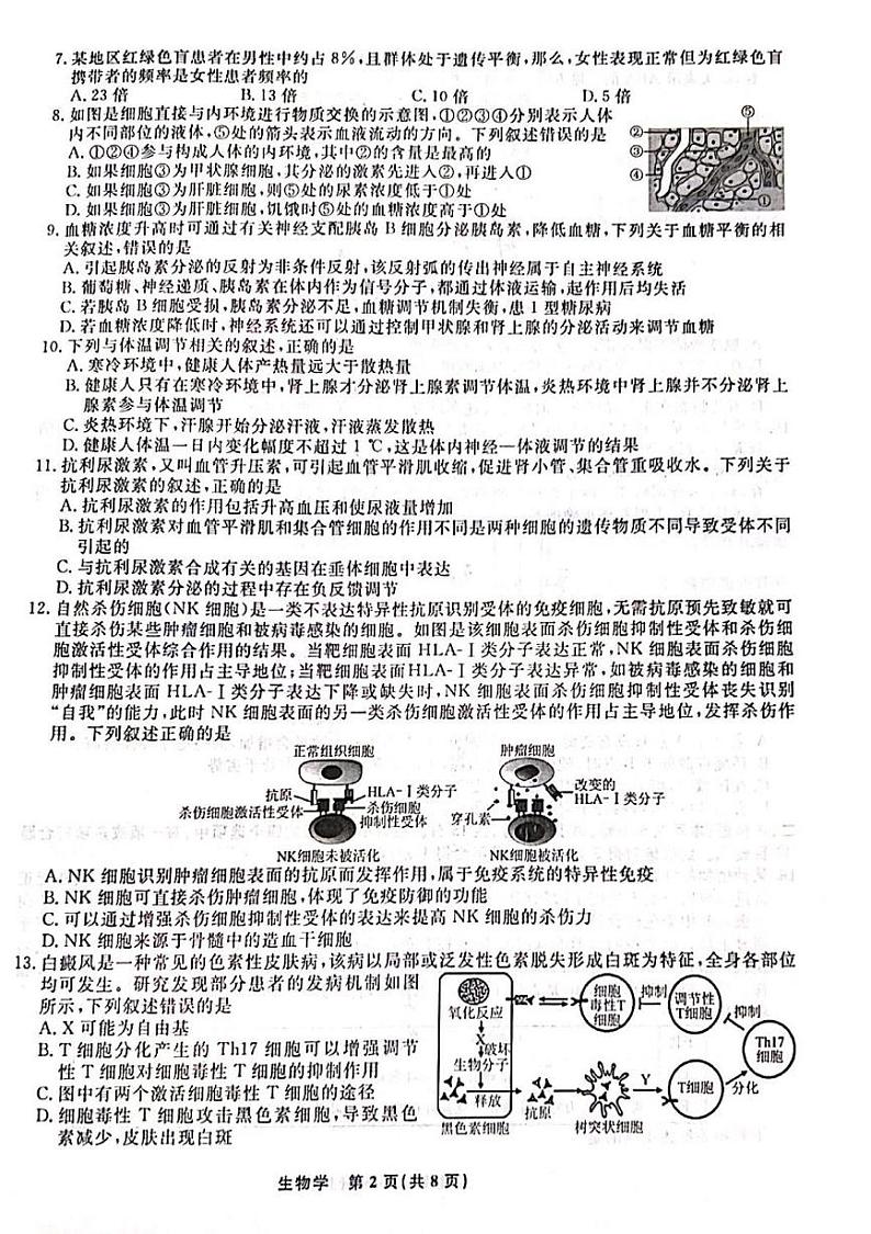 辽宁省名校联盟2024-2025学年高三上学期12月月考生物试卷第2页
