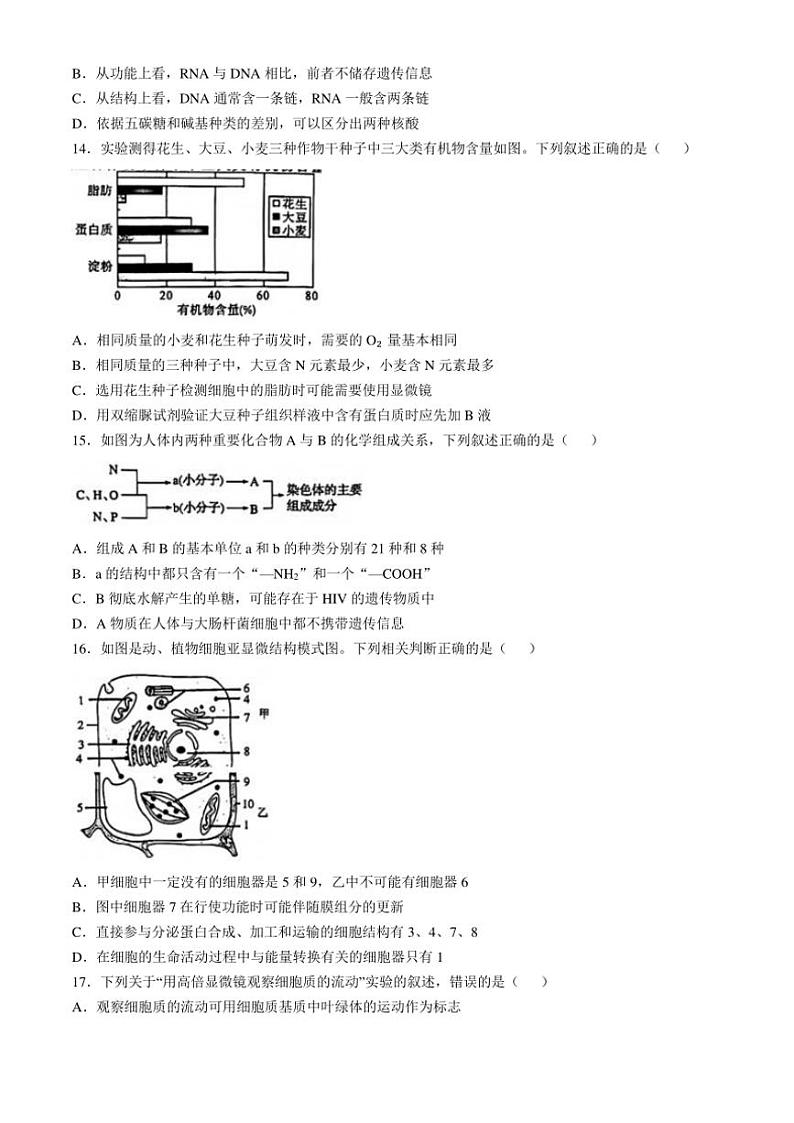 2024～2025学年青海省西宁市大通县第二中学高一(上)期中生物试卷(含答案)第3页