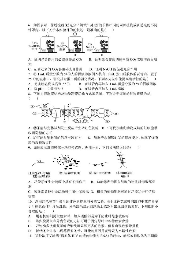 2024～2025学年吉林省辽源市西安区辽源市田家炳高级中学校高三(上)12月月考生物试卷(含答案)第2页