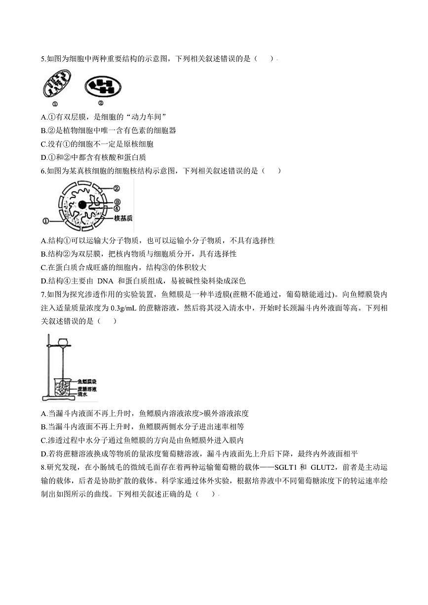 2024～2025学年吉林省四平市铁西区四平市实验中学高一(上)第二次月考生物试卷(含答案)第2页