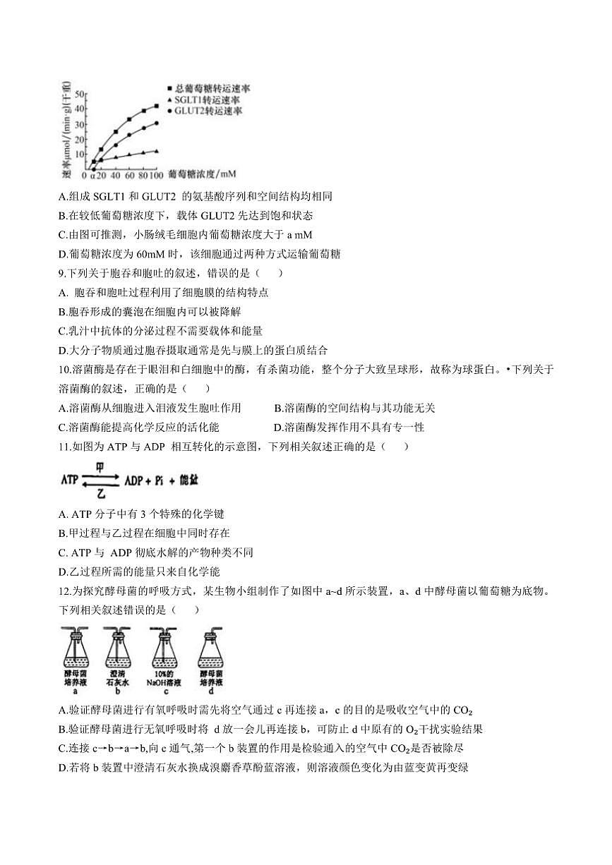 2024～2025学年吉林省四平市铁西区四平市实验中学高一(上)第二次月考生物试卷(含答案)第3页