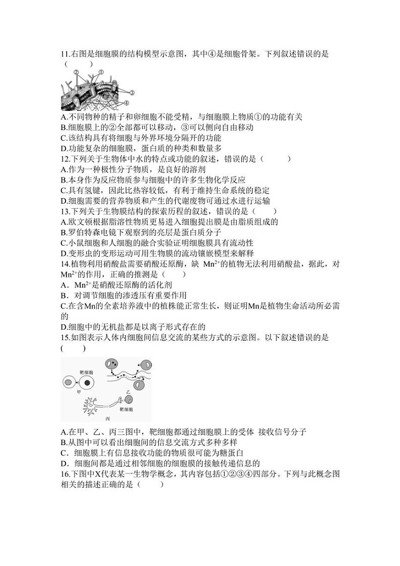 2024～2025学年江西省宜春市樟树中学高一(上)第二次月考生物试卷(含答案)第3页