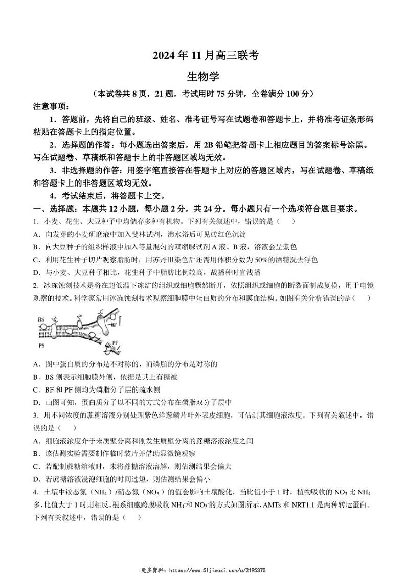 2024～2025学年湖南省湖湘教育协作体高三(上)期中联考生物试卷(含答案)第1页