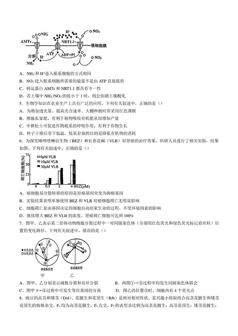 2024～2025学年湖南省湖湘教育协作体高三(上)期中联考生物试卷(含答案)第2页