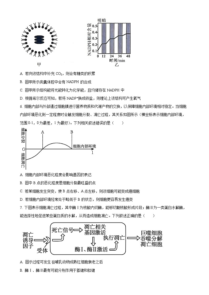 河南省新乡市名校2024-2025学年高三上学期期中联考生物试题（原卷版）-A4第3页