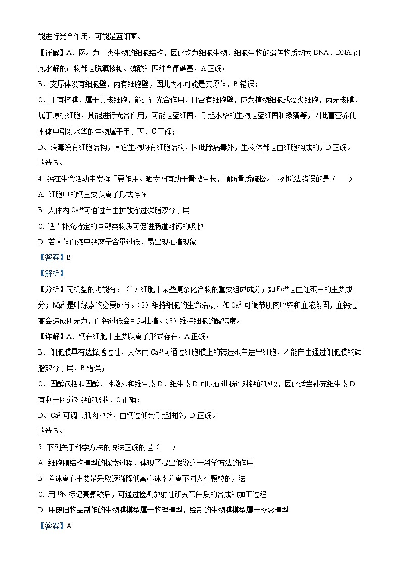 山东省昌邑市2024-2025学年高一上学期期中考试生物试题（解析版）-A4第3页