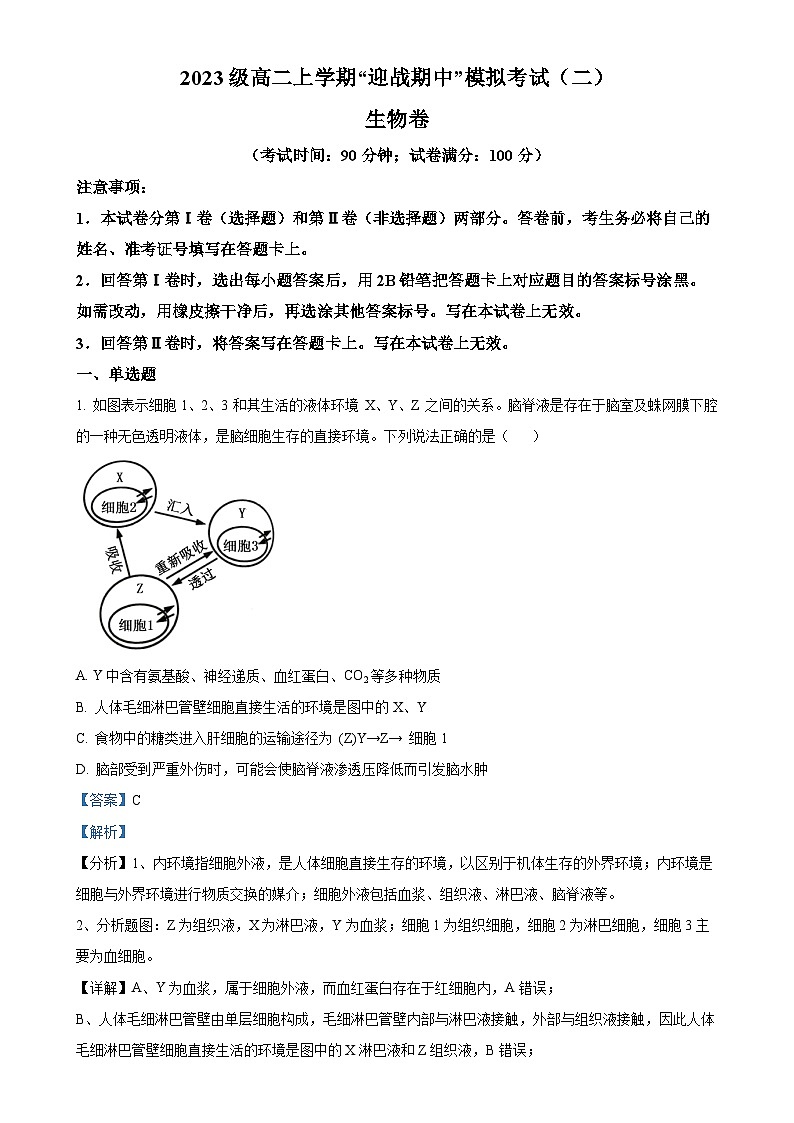 山东省临沂市蒙阴第一中学2024-2025学年高二上学期期中模拟生物试题（解析版）-A4第1页