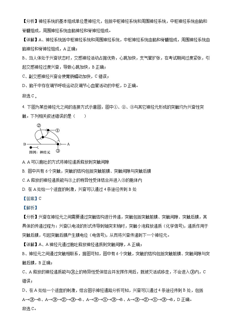 山东省临沂市蒙阴第一中学2024-2025学年高二上学期期中模拟生物试题（解析版）-A4第3页