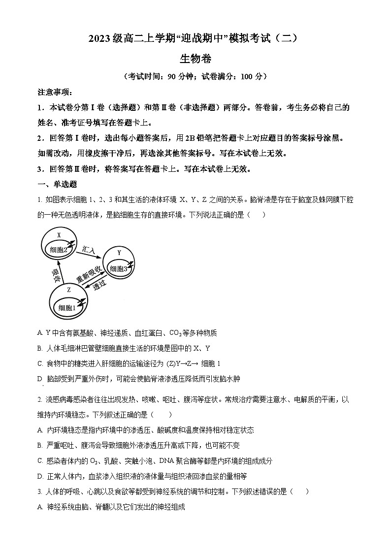 山东省临沂市蒙阴第一中学2024-2025学年高二上学期期中模拟生物试题（原卷版）-A4第1页