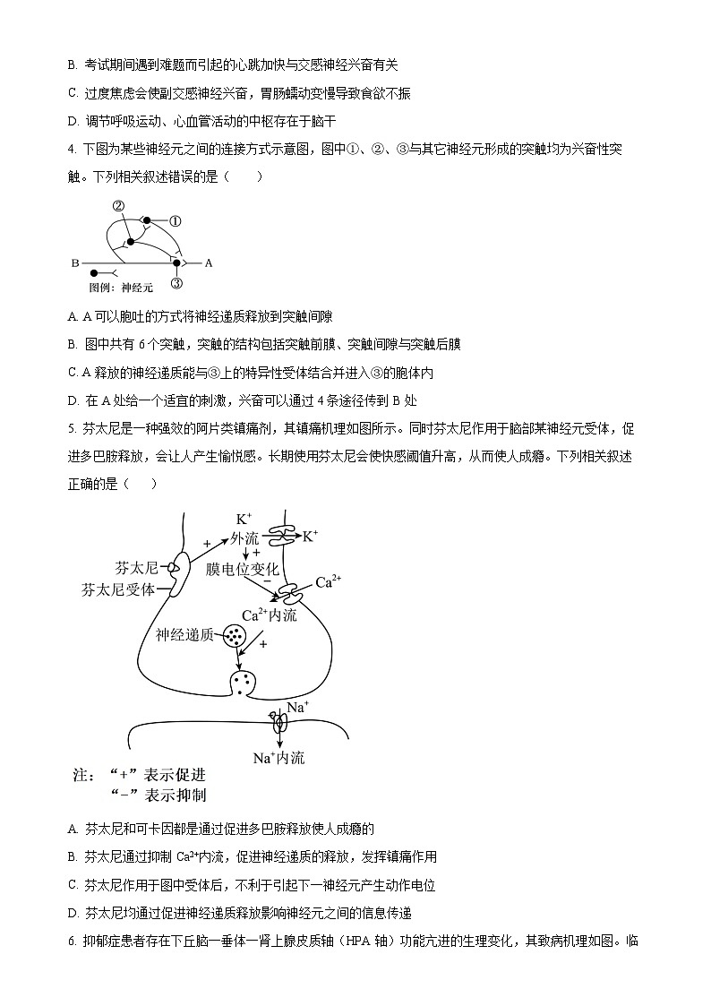 山东省临沂市蒙阴第一中学2024-2025学年高二上学期期中模拟生物试题（原卷版）-A4第2页