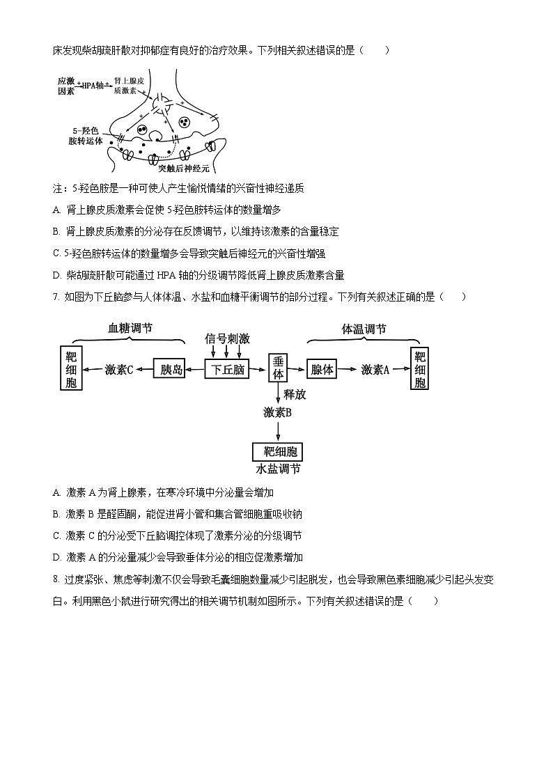 山东省临沂市蒙阴第一中学2024-2025学年高二上学期期中模拟生物试题（原卷版）-A4第3页