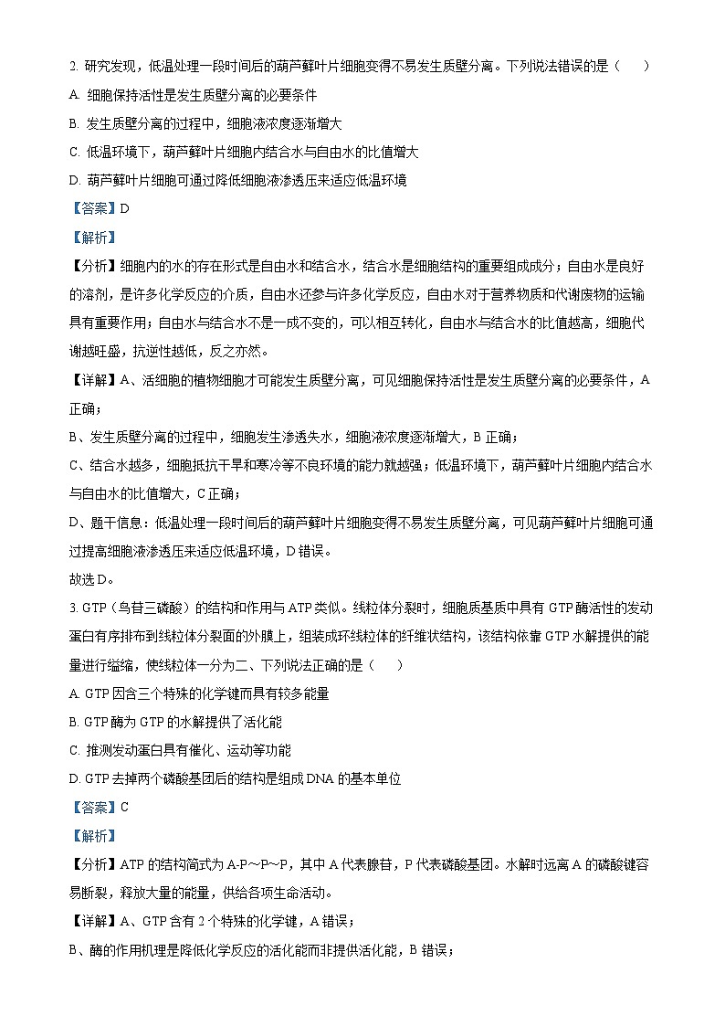 山东省潍坊市2024-2025年高三上学期期中考试生物试题（解析版）-A4第2页