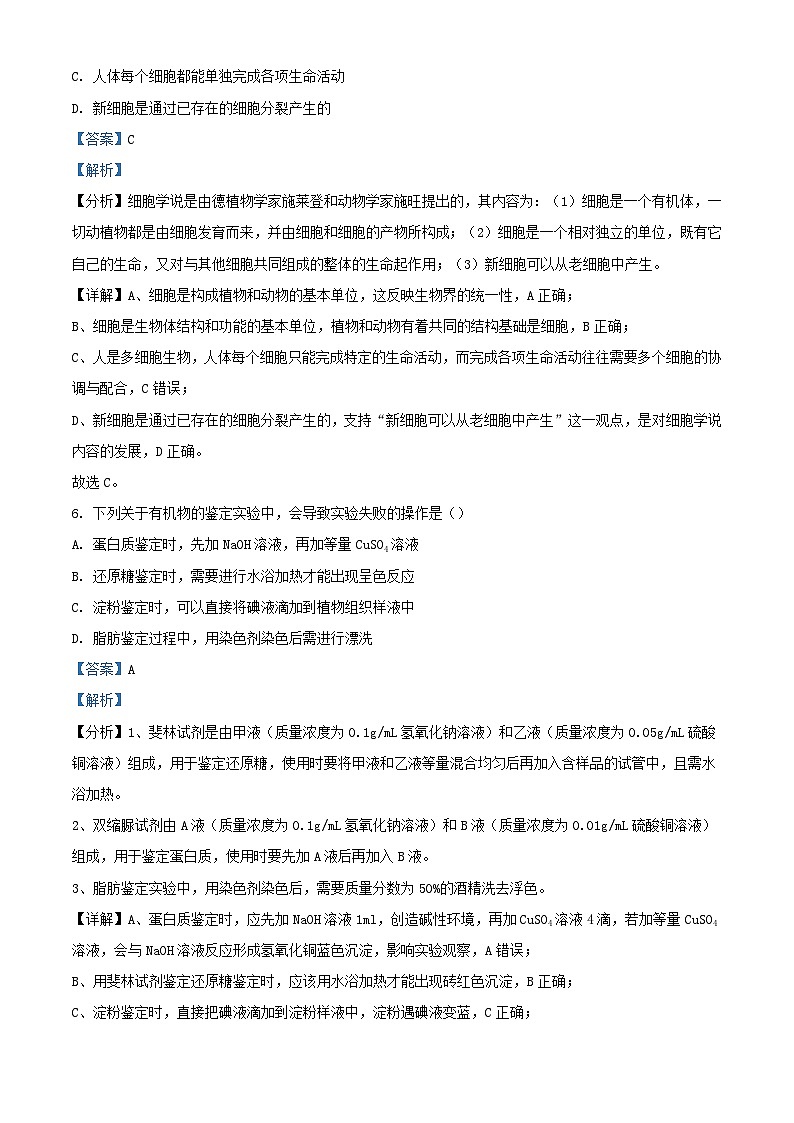 四川省宜宾市2023_2024学年高一生物上学期期中试题含解析第3页