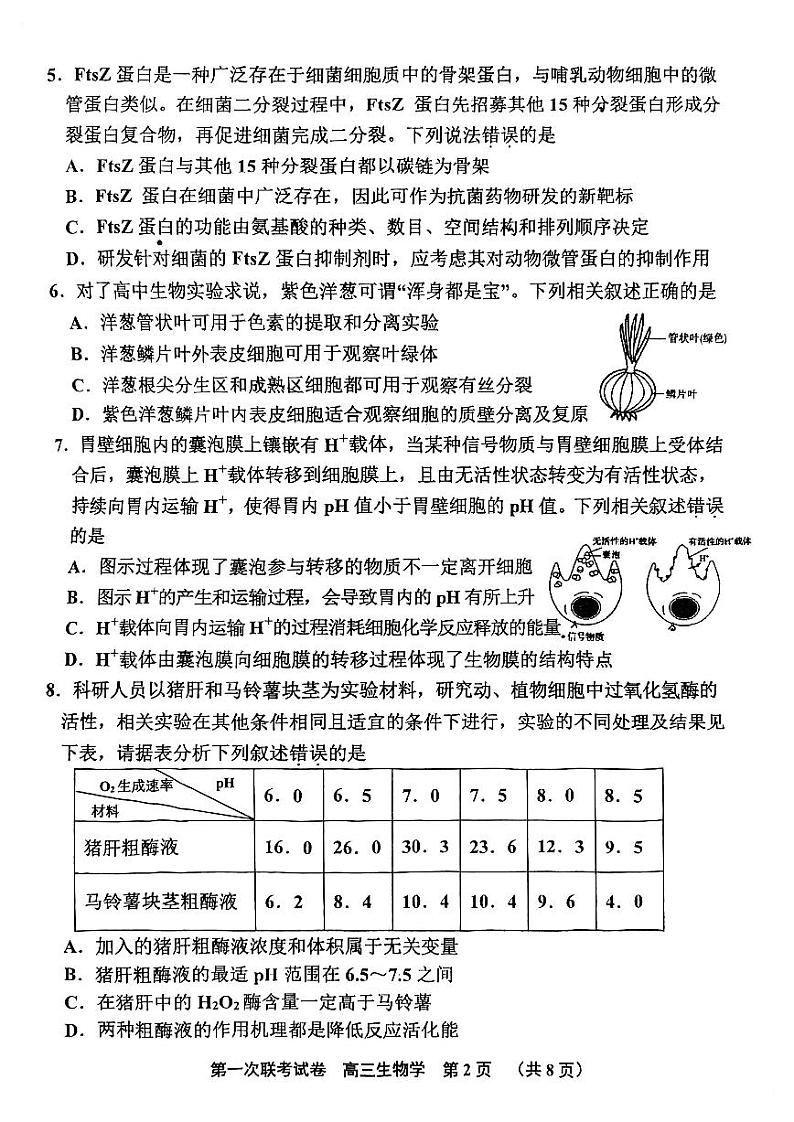 天津市北辰区2023_2024学年高三生物上学期第一次联考期中试题pdf第2页