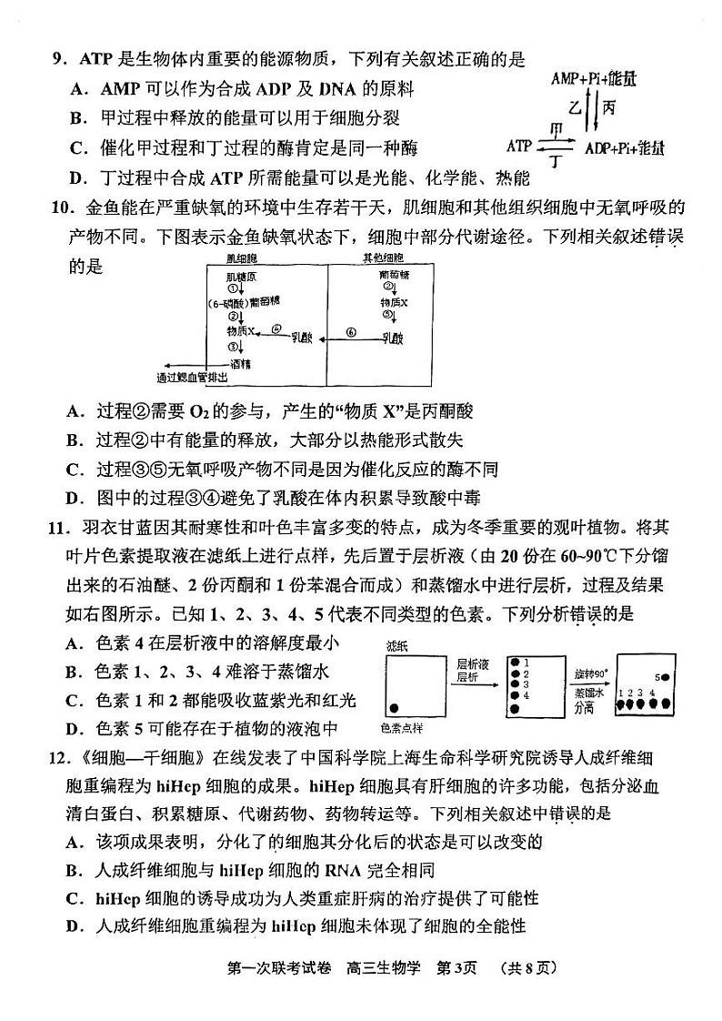 天津市北辰区2023_2024学年高三生物上学期第一次联考期中试题pdf第3页