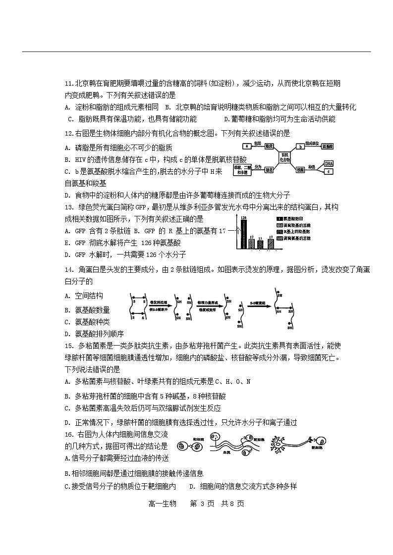 天津市滨海新区2023_2024学年高一生物上学期期中试题无答案第3页