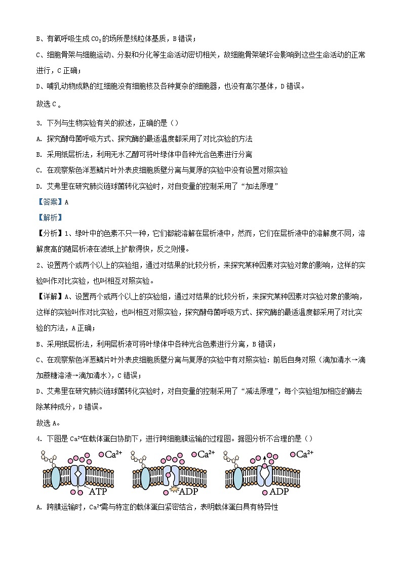 天津市河西区2023_2024学年高三生物上学期期中试题含解析第2页