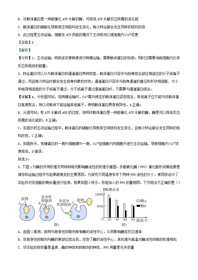 天津市河西区2023_2024学年高三生物上学期期中试题含解析第3页