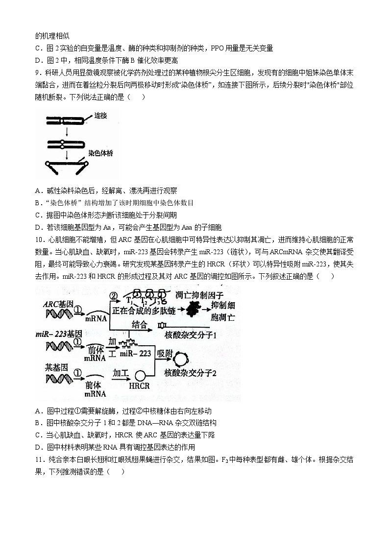 黑龙江省哈尔滨市第三中学2024-2025学年高三上学期期中考试生物试题（Word版附解析）第3页
