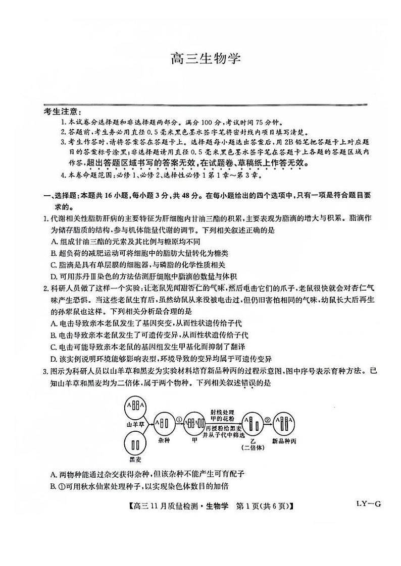 九师联盟2025届高三上学期12月联考-生物试卷+答案第1页