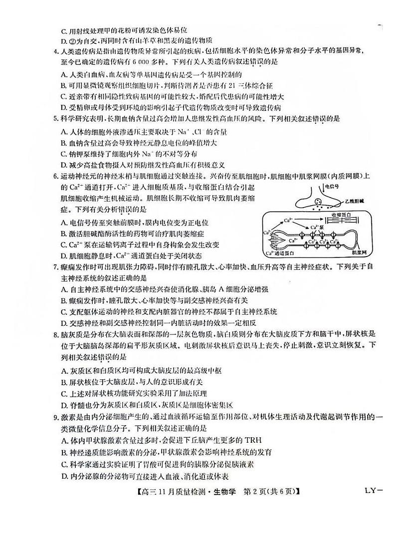 九师联盟2025届高三上学期12月联考-生物试卷+答案第2页