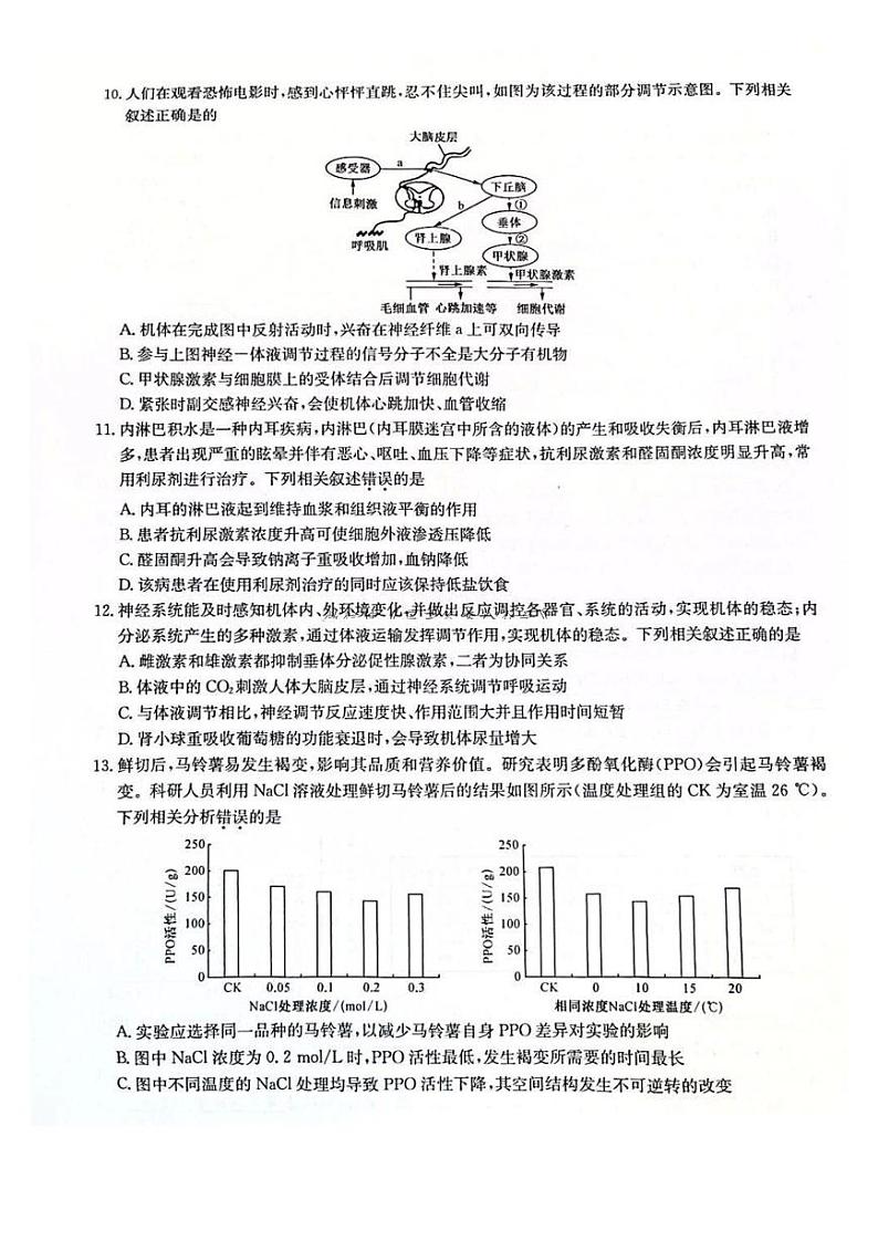 九师联盟2025届高三上学期12月联考-生物试卷+答案第3页