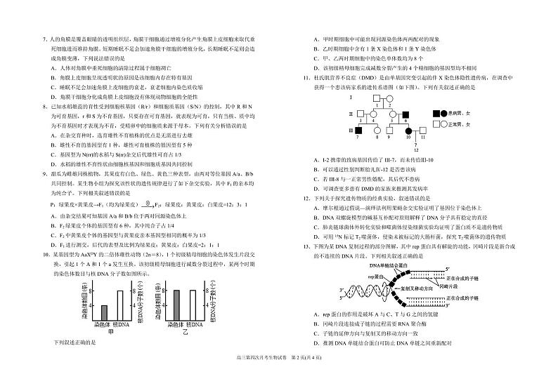 宁夏回族自治区银川一中2025届高三上学期12月考-生物试卷+答案第2页
