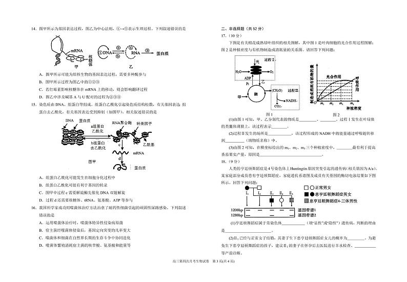 宁夏回族自治区银川一中2025届高三上学期12月考-生物试卷+答案第3页